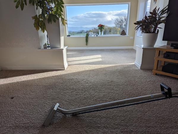 Nicky Bee's Carpet Clean