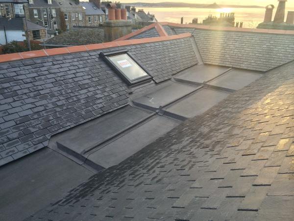 Chapple Roofing