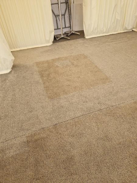 Steam Genie