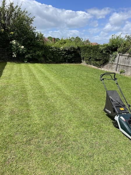 Tees Valley Lawn Care and Garden Maintenance