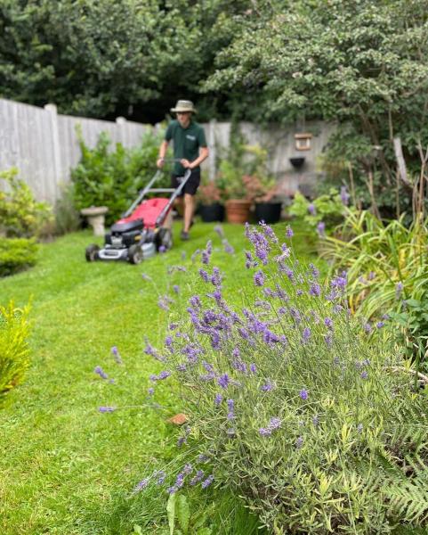 Mowjo Gardening Services