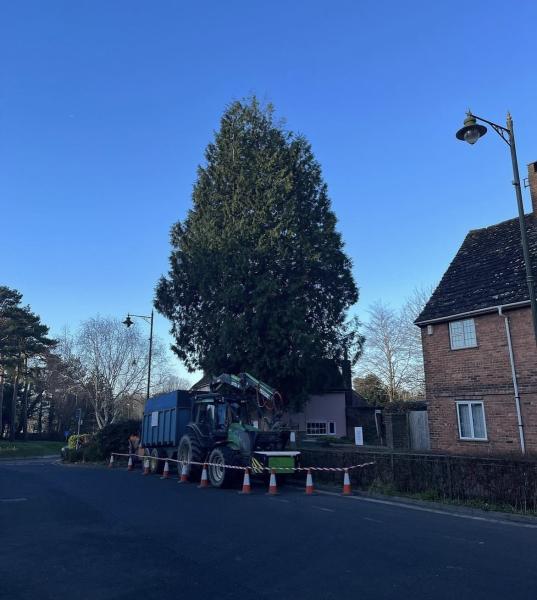 Fletcher Tree Services Ltd