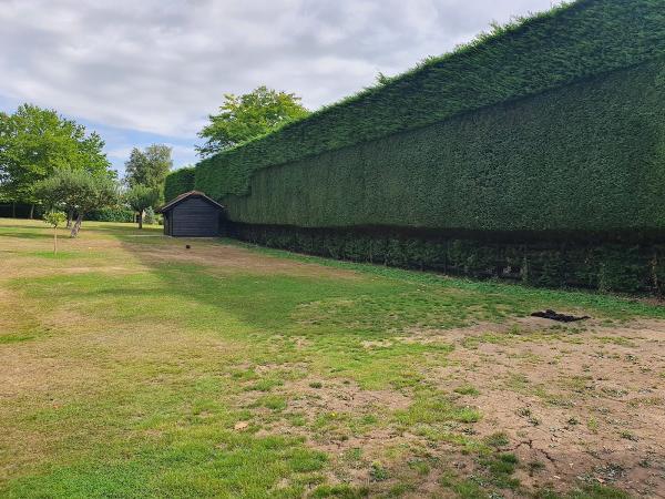 Arborea Tree Surgery