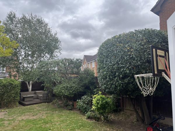 Herring Trees & Landscaping