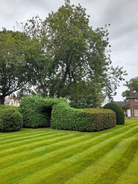 Rugby Grass Cutting