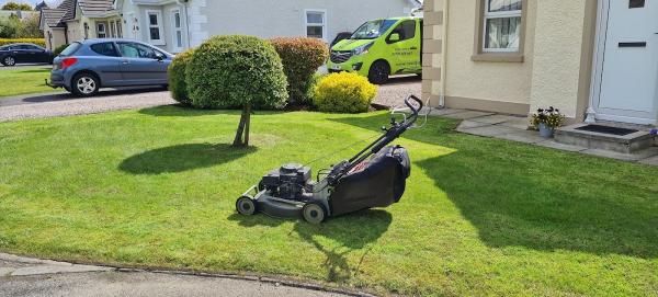 Need Your Lawn Cut?