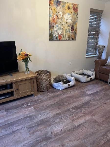 Rob Santwris Carpets & Flooring