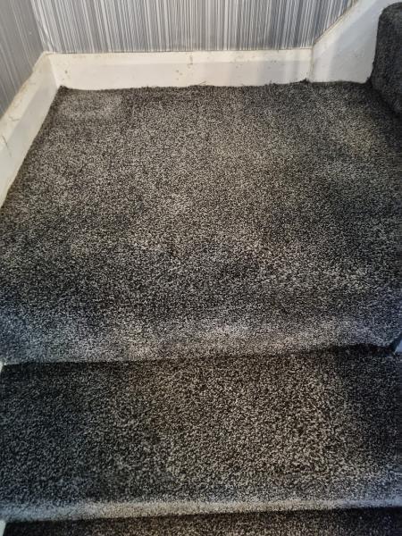 Deep Cleaning Solutions