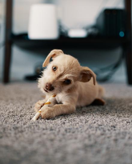 Affordable Flooring Solutions