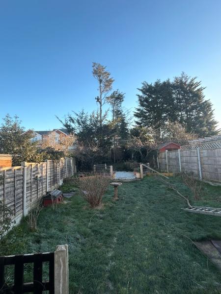 Hazelwood Tree Services