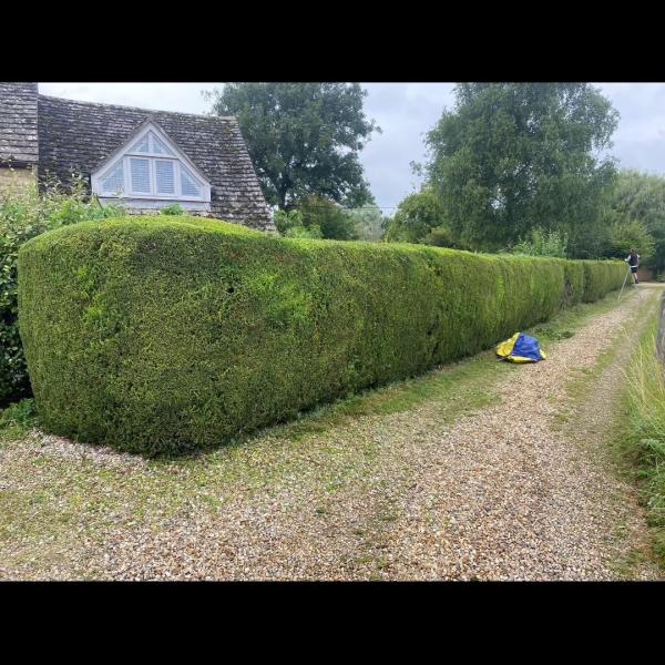 Rendell Garden Services