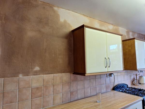 Osborne Plastering