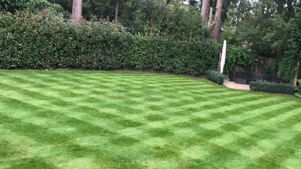 Rolls Garden Services