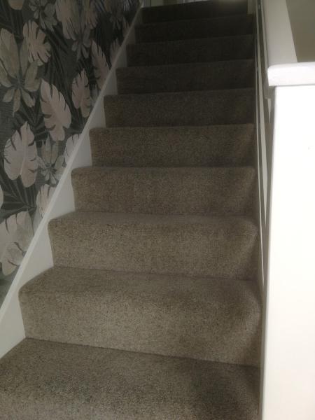 Cuttin Edge Carpets
