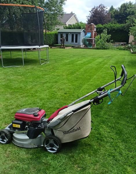 Tree & Garden Services