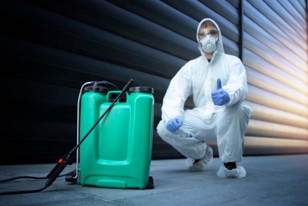 East London Pest Control Services