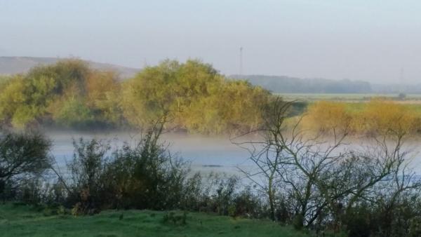 Britannia Preservation