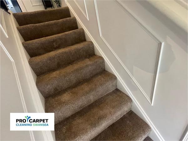 Pro Carpet Cleaning Swansea