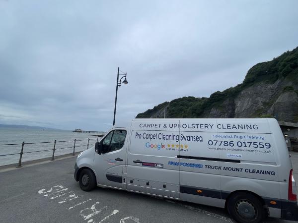 Pro Carpet Cleaning Swansea