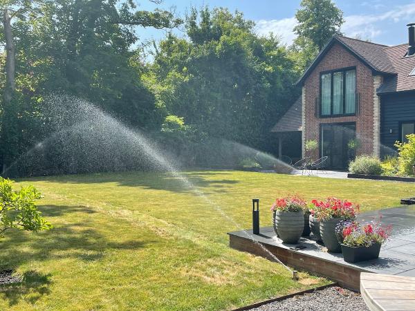Immaculate Garden