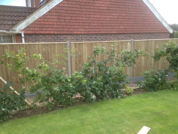 L T Fencing