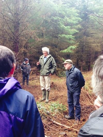 Sustainable Forest Management