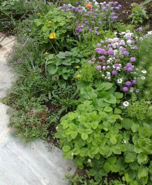 Green Gardens