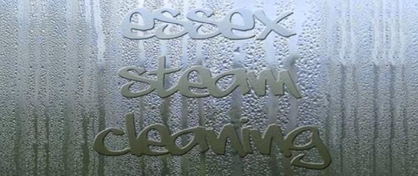 Essex Steam Cleaning