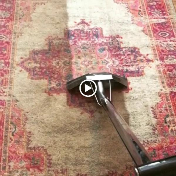 Carpet