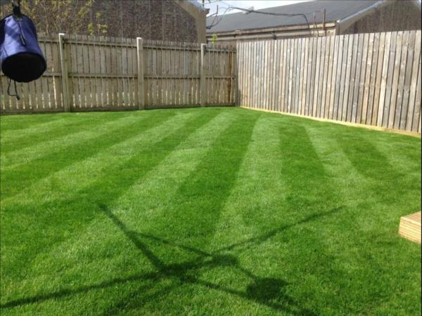 JML Artificial Grass