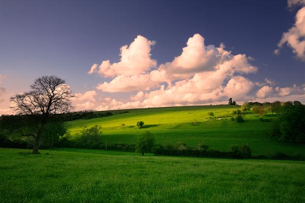 The Brighton Removals and Storage Company