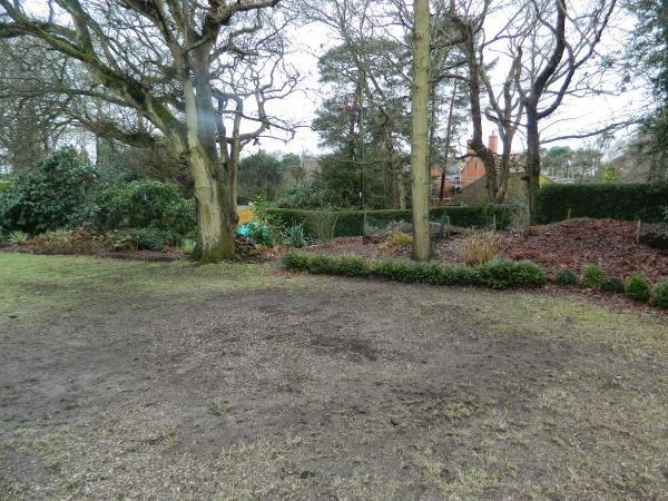 H and E Tree Services LTD