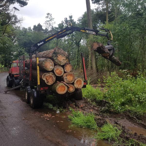 White's Tree Services