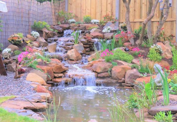 Gardens Transformed