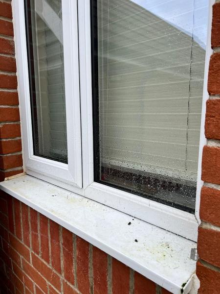 Elite Luxury Clean Ltd.-Window Cleaning and Gutter Cleaning