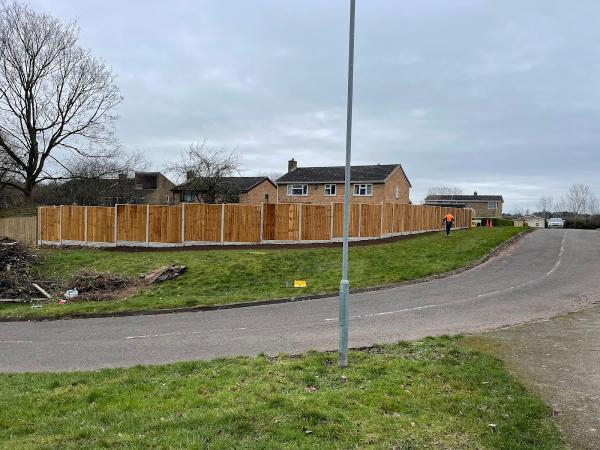 Quinn's Trees & Landscape