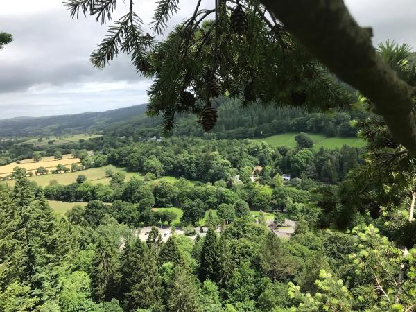 Cotswold Tree Care