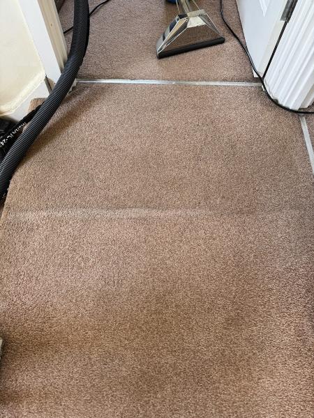 The Carpet Cleaning Professor