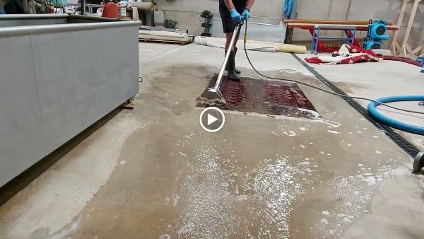 Gold Star Rug Care