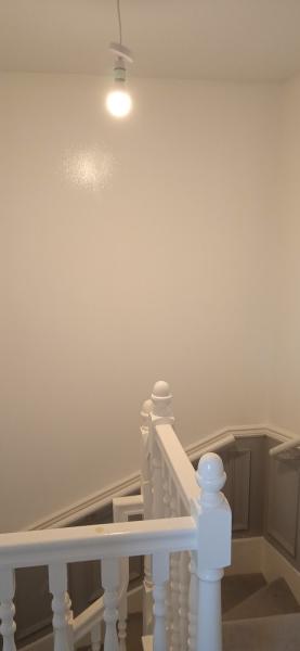 Mark Healey Decorators and Plasterers