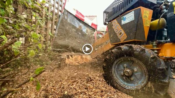 Edinburgh Stump Removal