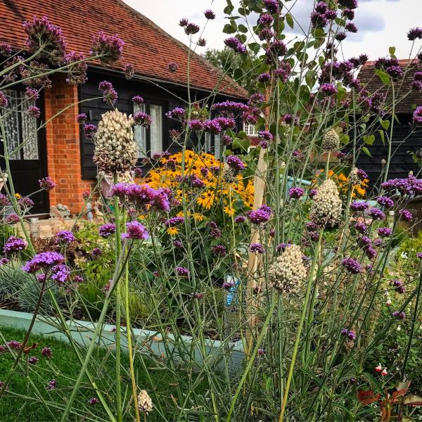 Outdoor Living Garden Services