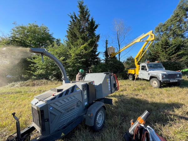 Tree Frog Tree Services