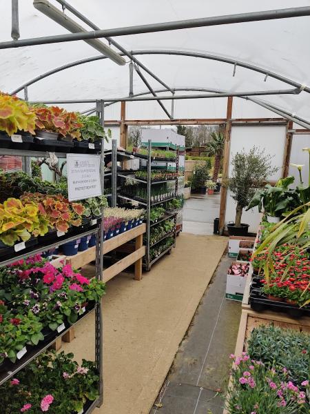 Hassett Plant Centre
