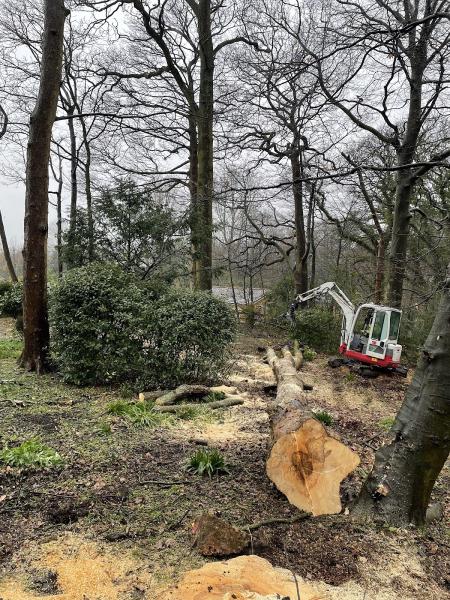 Williams Tree Works Ltd