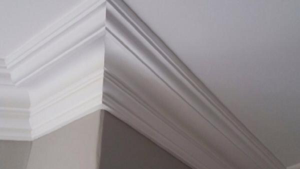 York Plastering and Cornice Specialists LTD