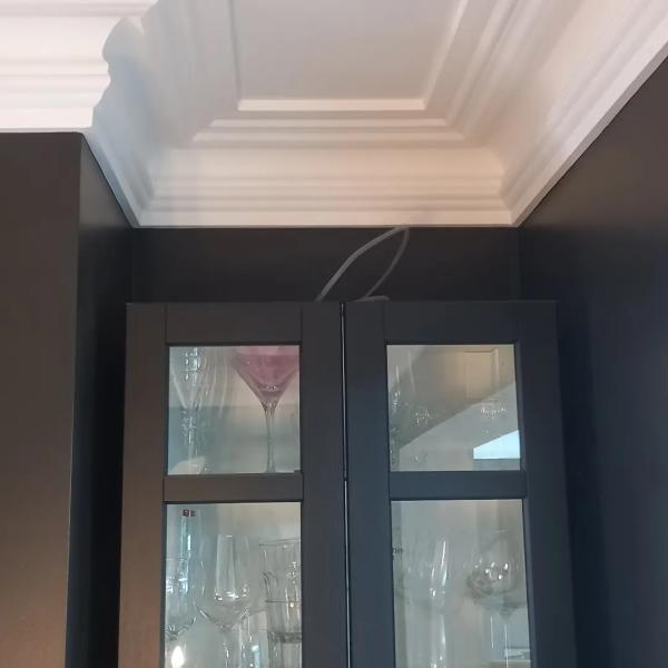 York Plastering and Cornice Specialists LTD