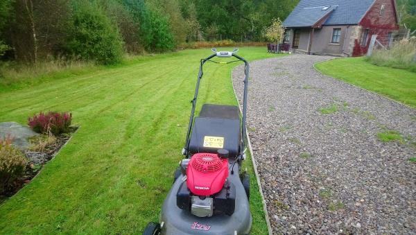 Mb Garden Maintenance
