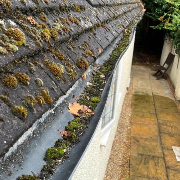 Twin Cleaning Services