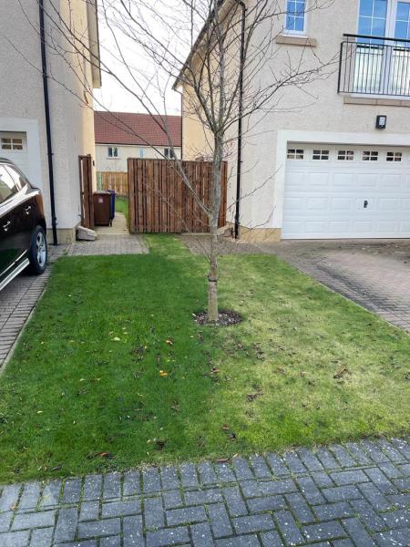 Luxury Lawns